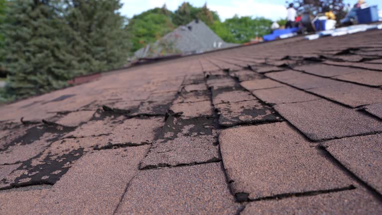 Best Roof Maintenance and Cleaning  in Rainbow Lakes, NJ