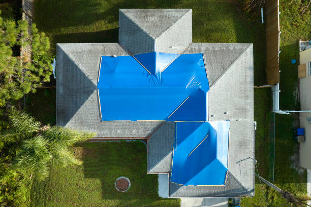 Best Roof Moss and Algae Removal  in Rainbow Lakes, NJ